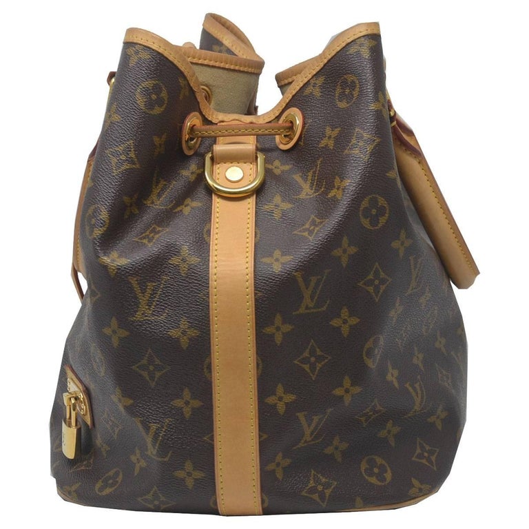 Louis Vuitton Monogram Canvas Neo Bucket Bag