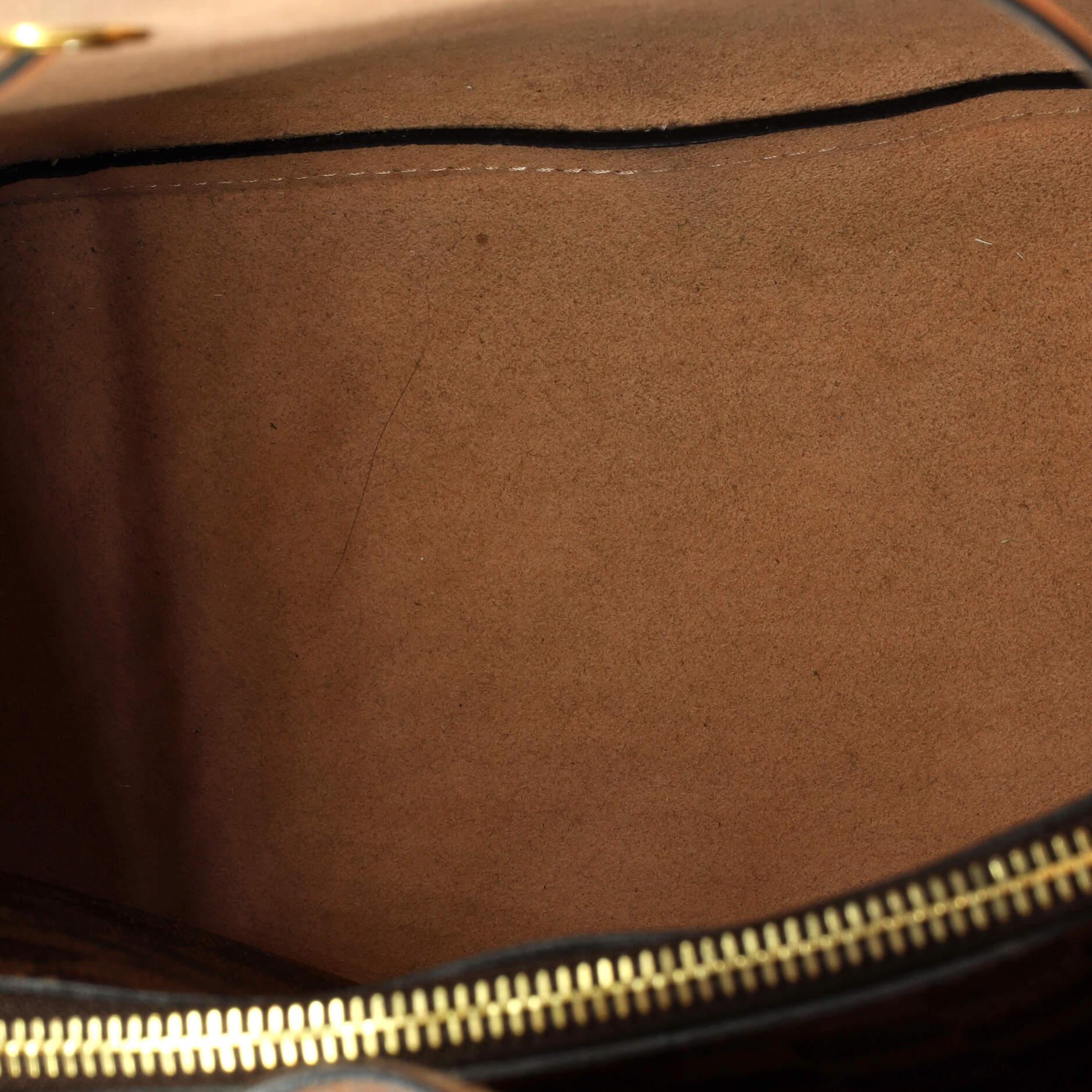 Louis Vuitton NeoNoe Handbag Damier MM For Sale 1