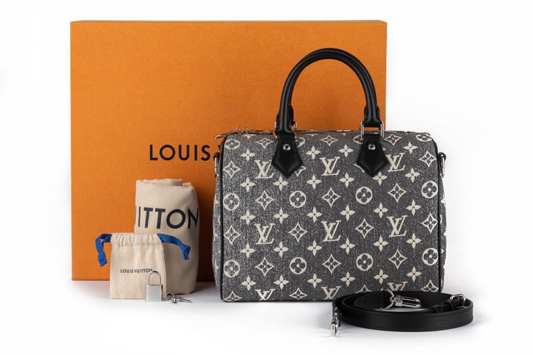 Louis Vuitton speedy bad - clothing & accessories - by owner - apparel sale  - craigslist