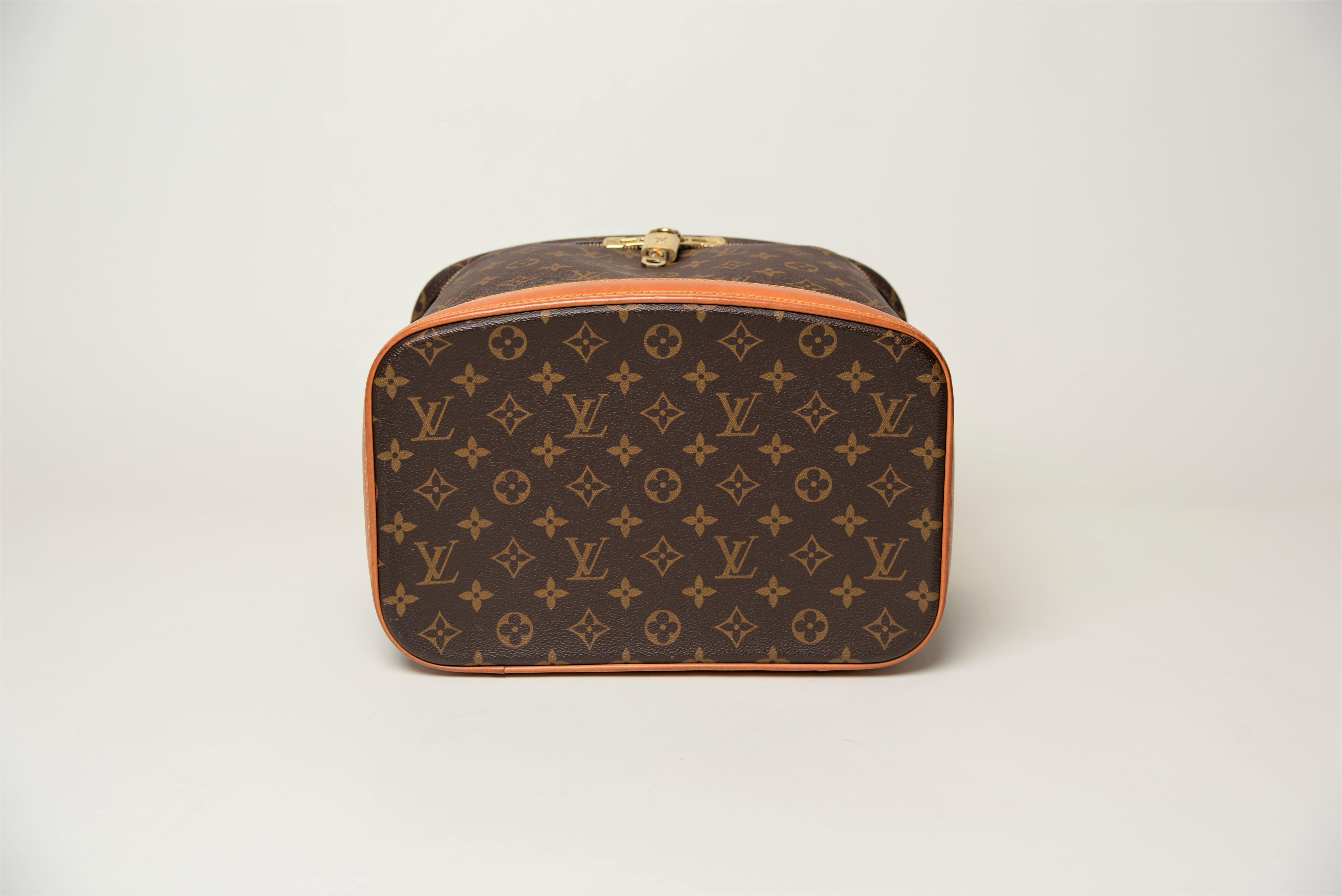 louis vuitton nice vanity case