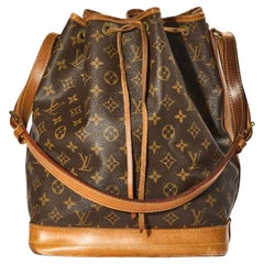 Louis Vuitton Noah GM Monogram