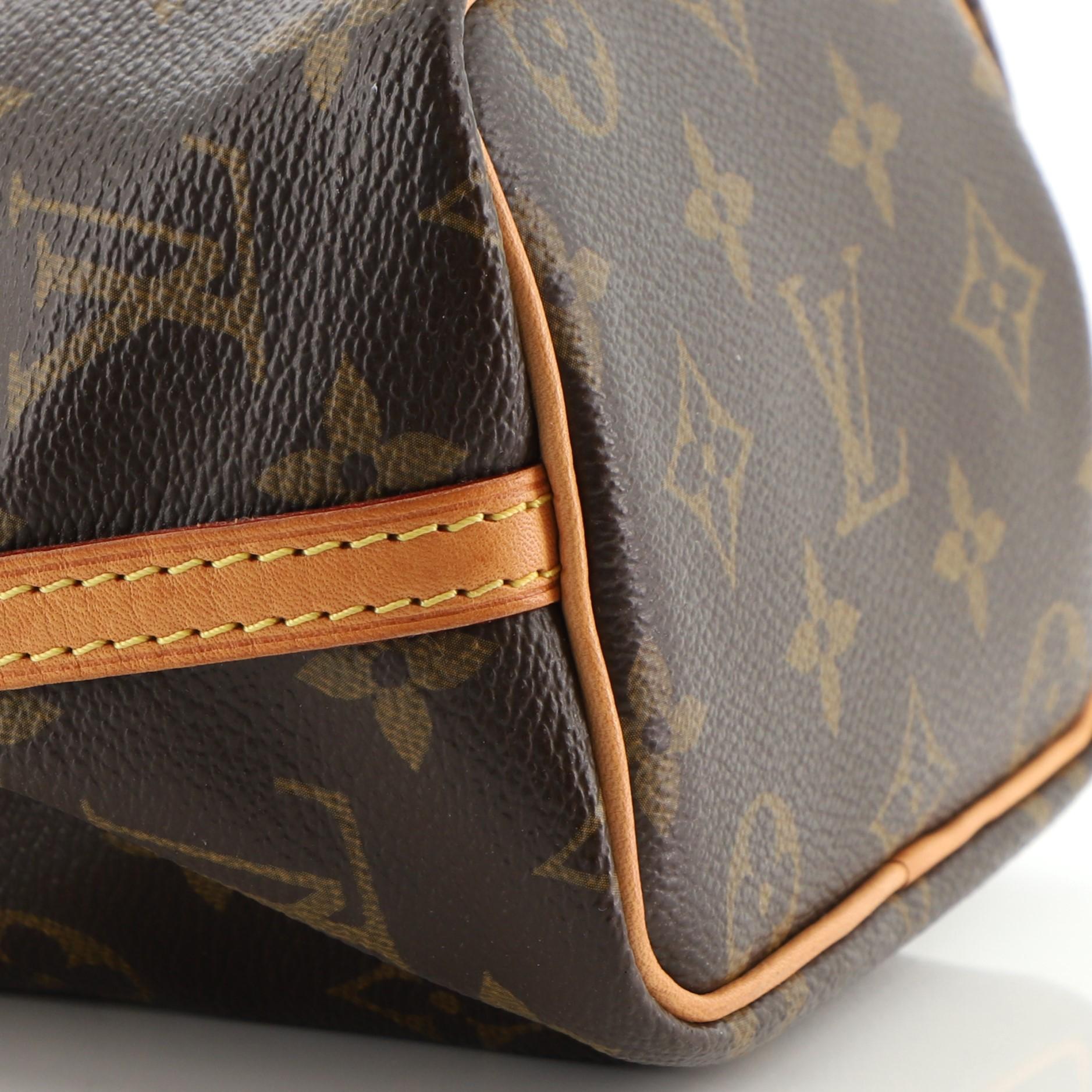 Brown Louis Vuitton Noe Handbag Monogram Canvas Nano