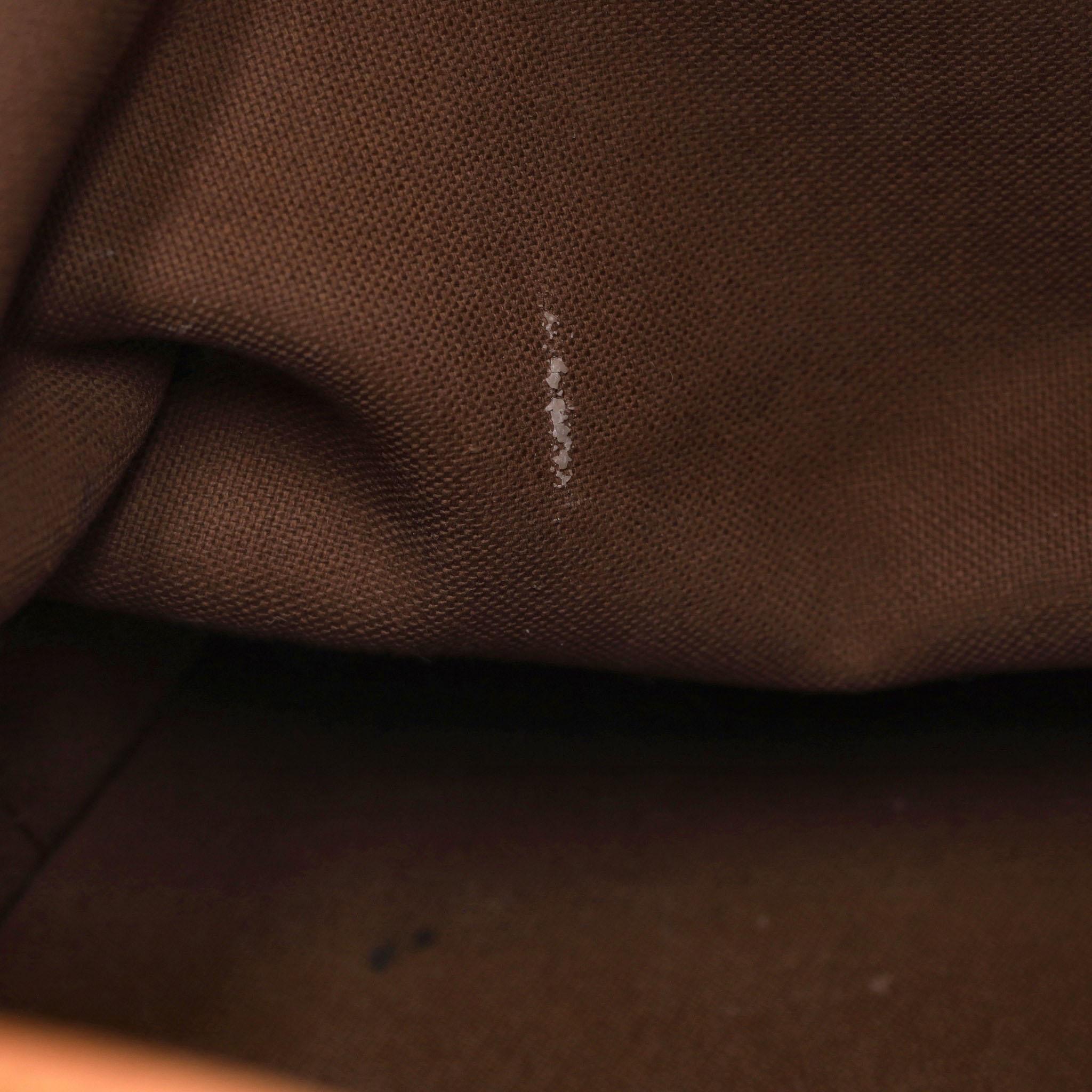 Louis Vuitton Noe Monogram Coated Canvas Bucket Bag 5