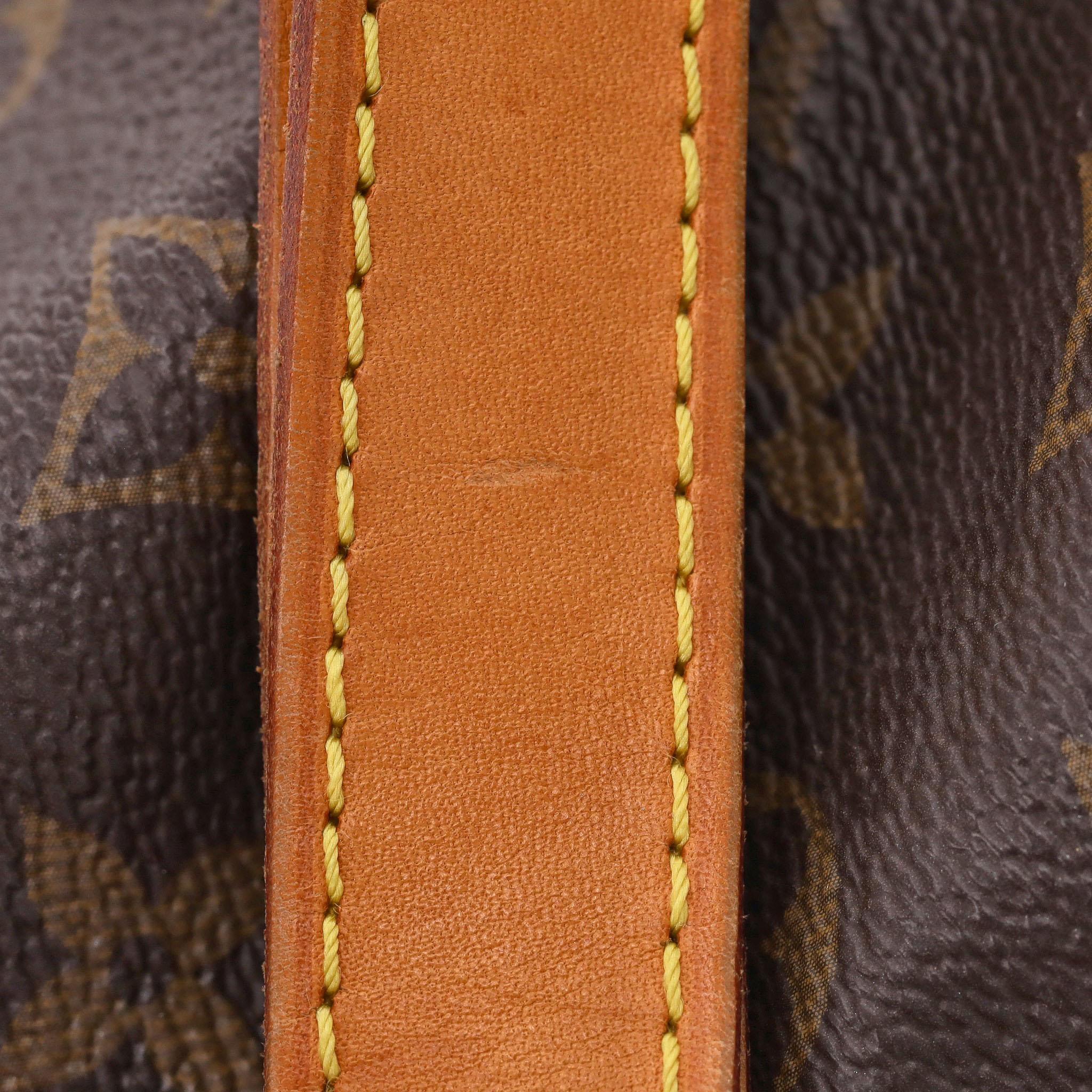 Louis Vuitton Noe Monogram Coated Canvas Bucket Bag 7