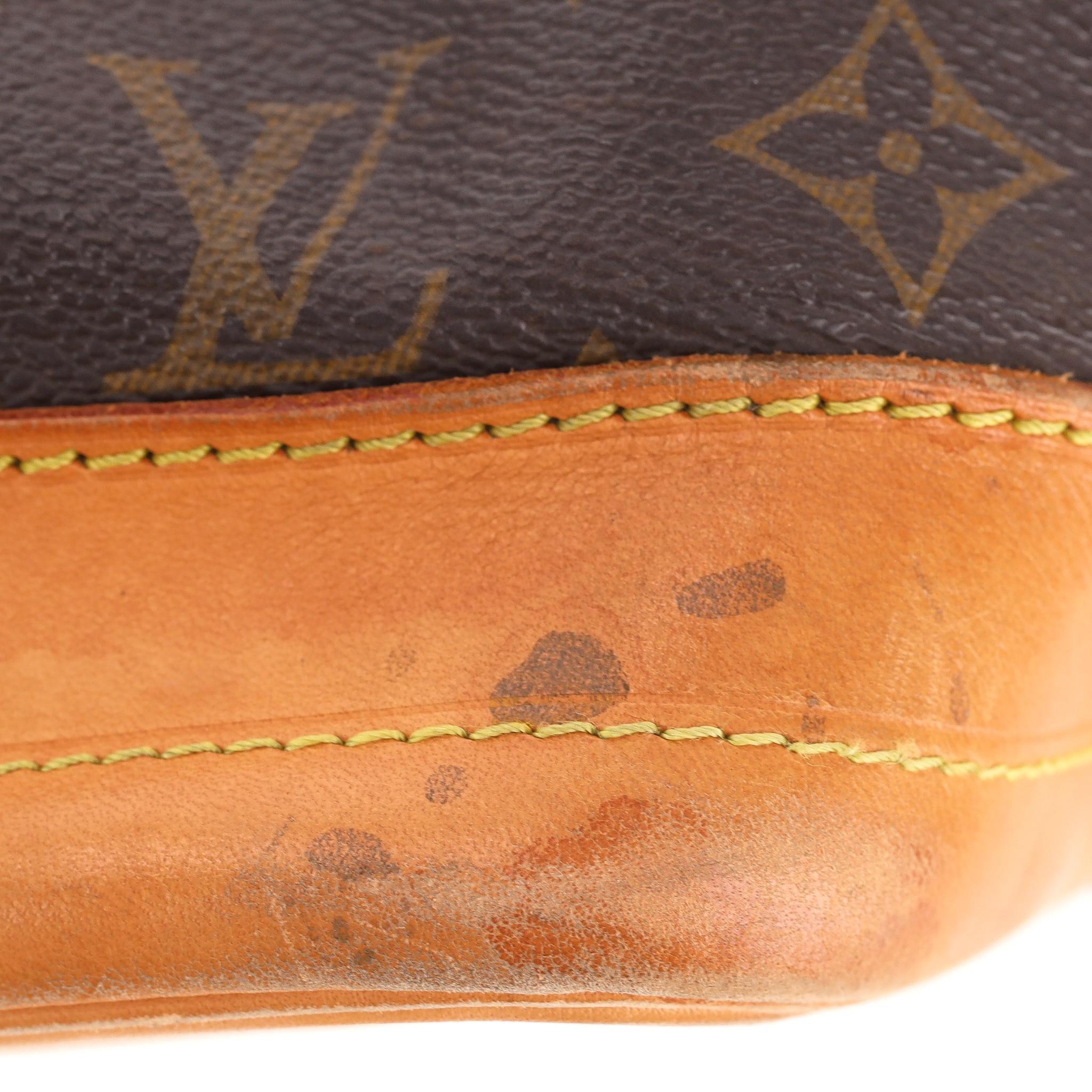 Louis Vuitton Noe Monogram Coated Canvas Bucket Bag 2