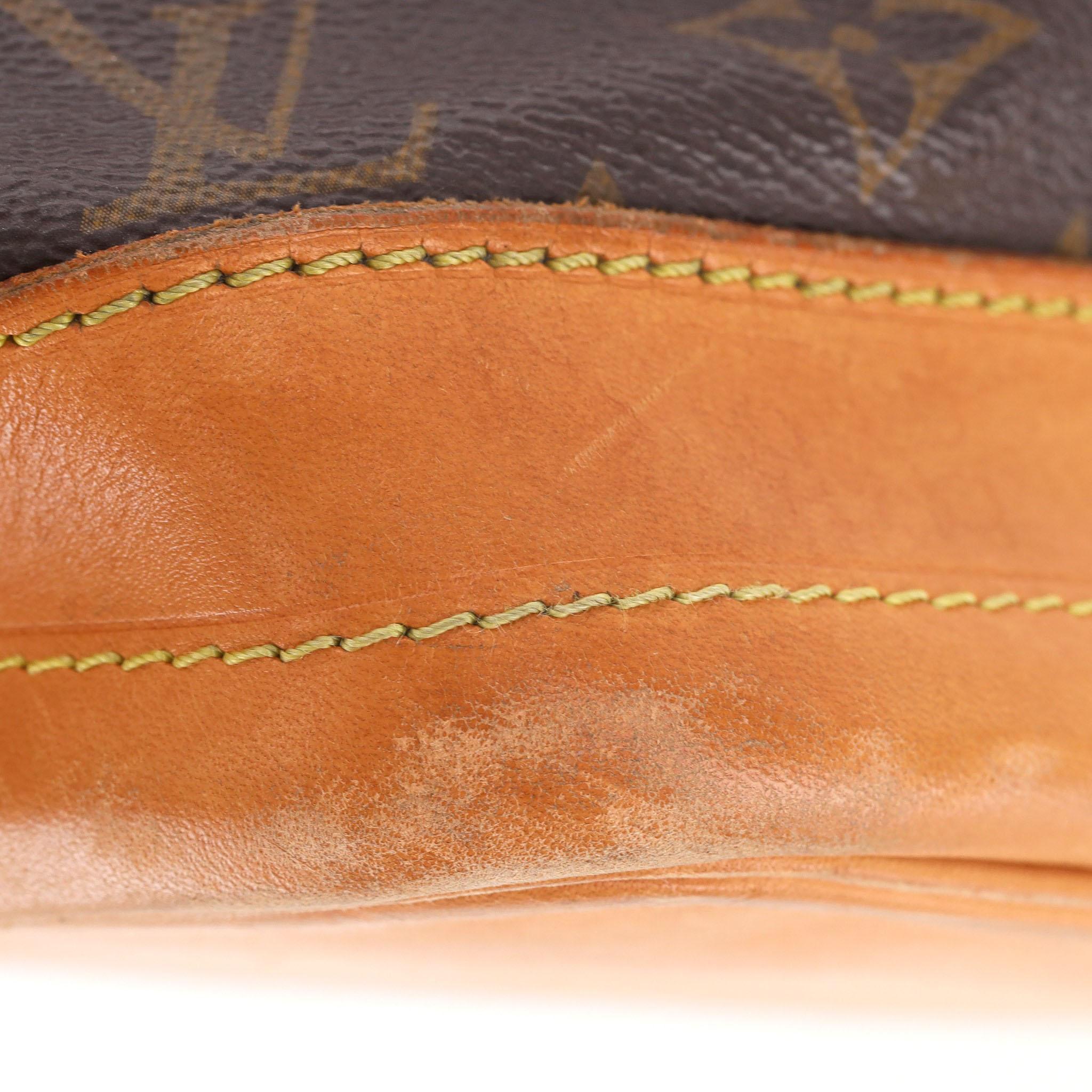 Louis Vuitton Noe Monogram Coated Canvas Bucket Bag 3