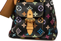 Louis Vuitton Noe Multicolour Monogram