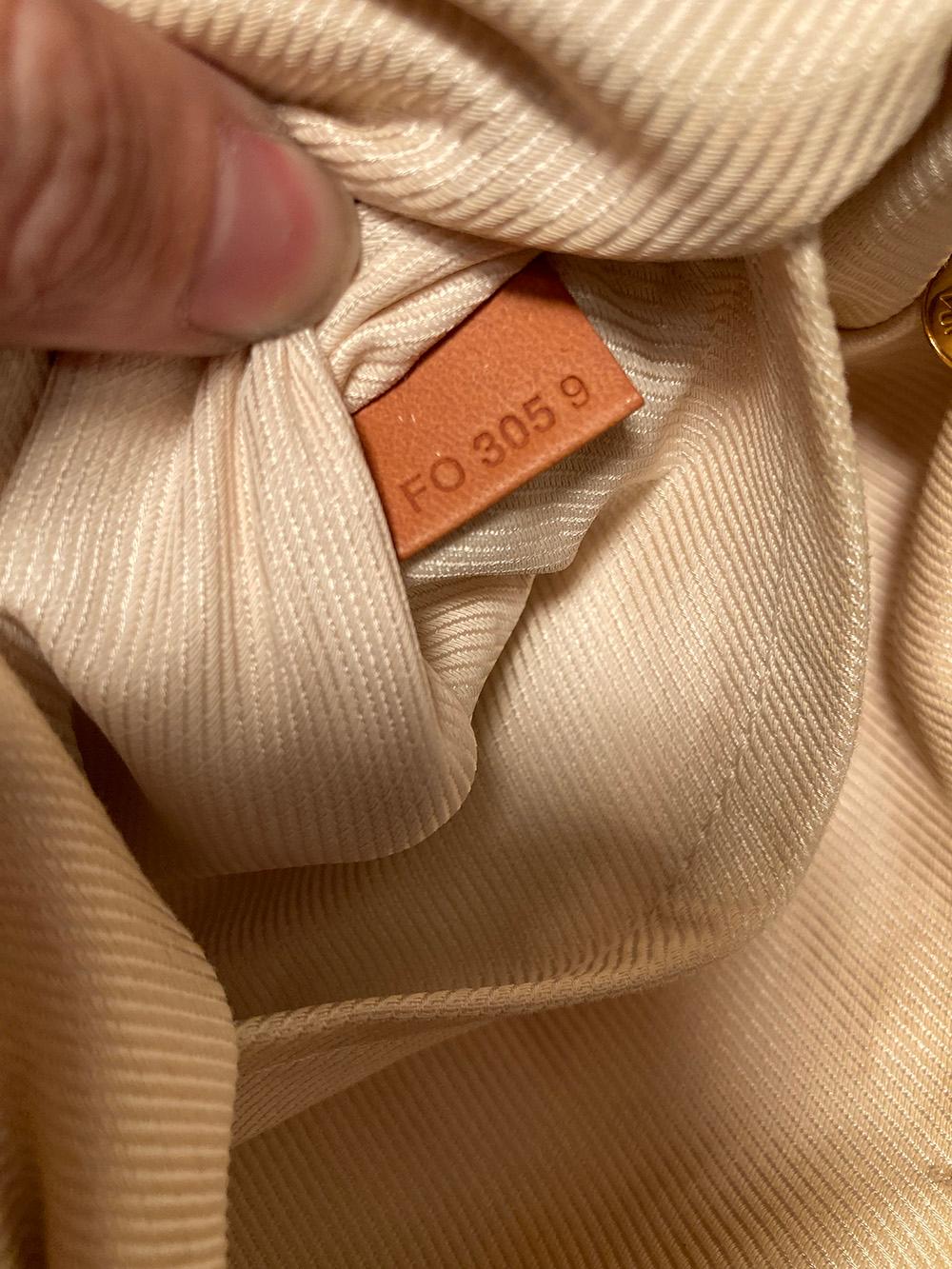Louis Vuitton Nylon Monogram Bulles PM Bag- Limited Edition 4