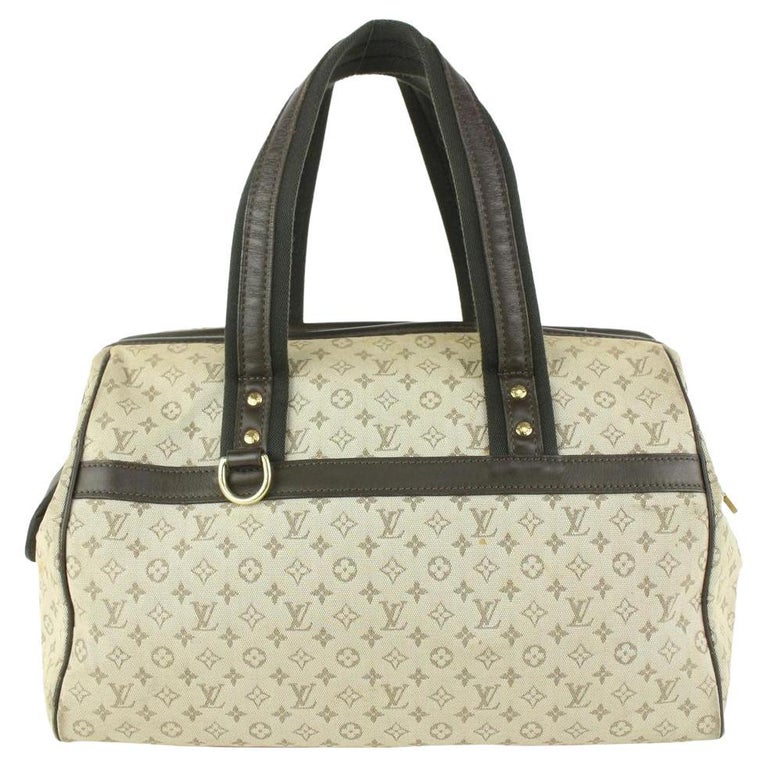 Thoughts on the Speedy? : r/Louisvuitton
