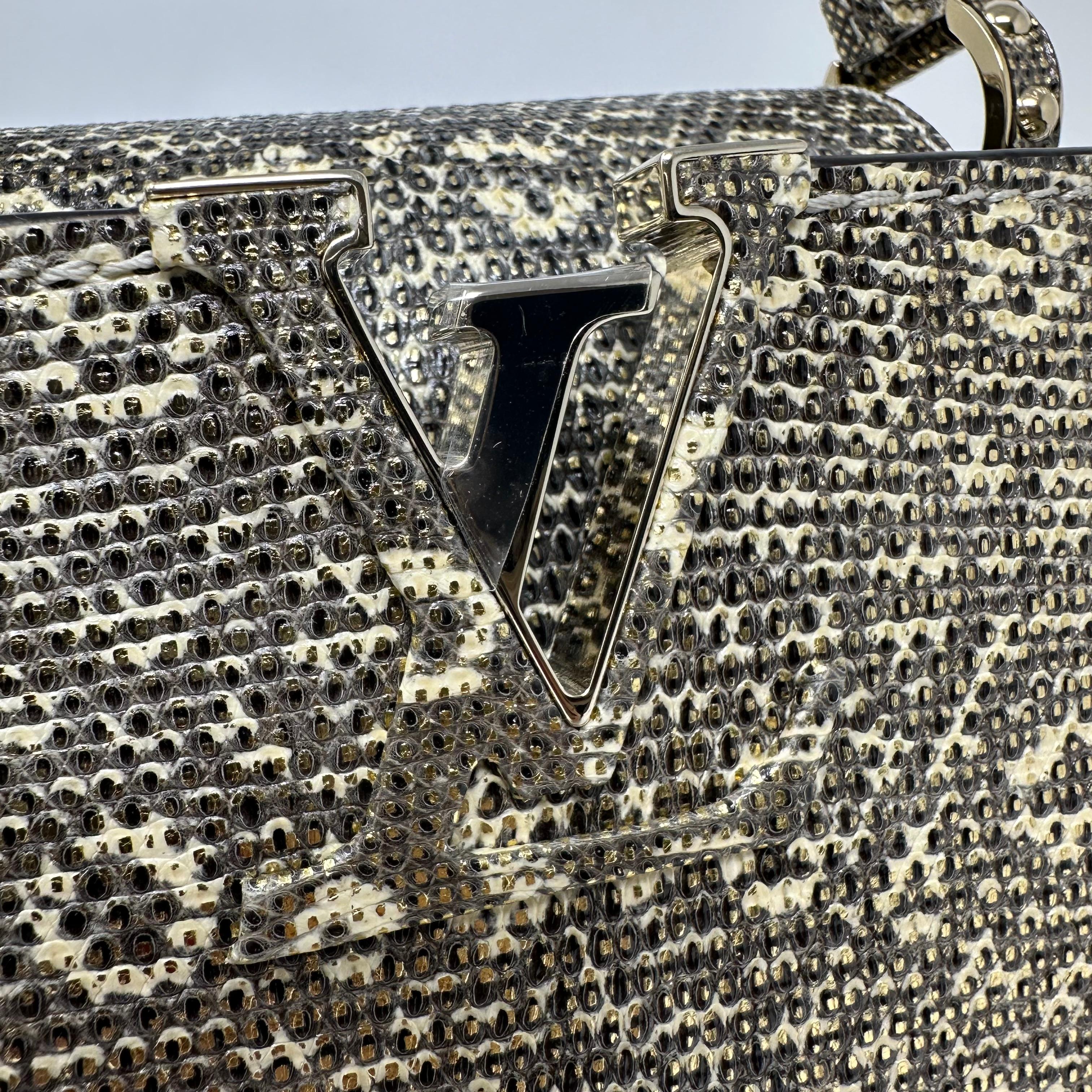 LOUIS VUITTON Ombre Eidechse Argento Mini Capucines Gold & Grau Tasche GHW im Angebot 6