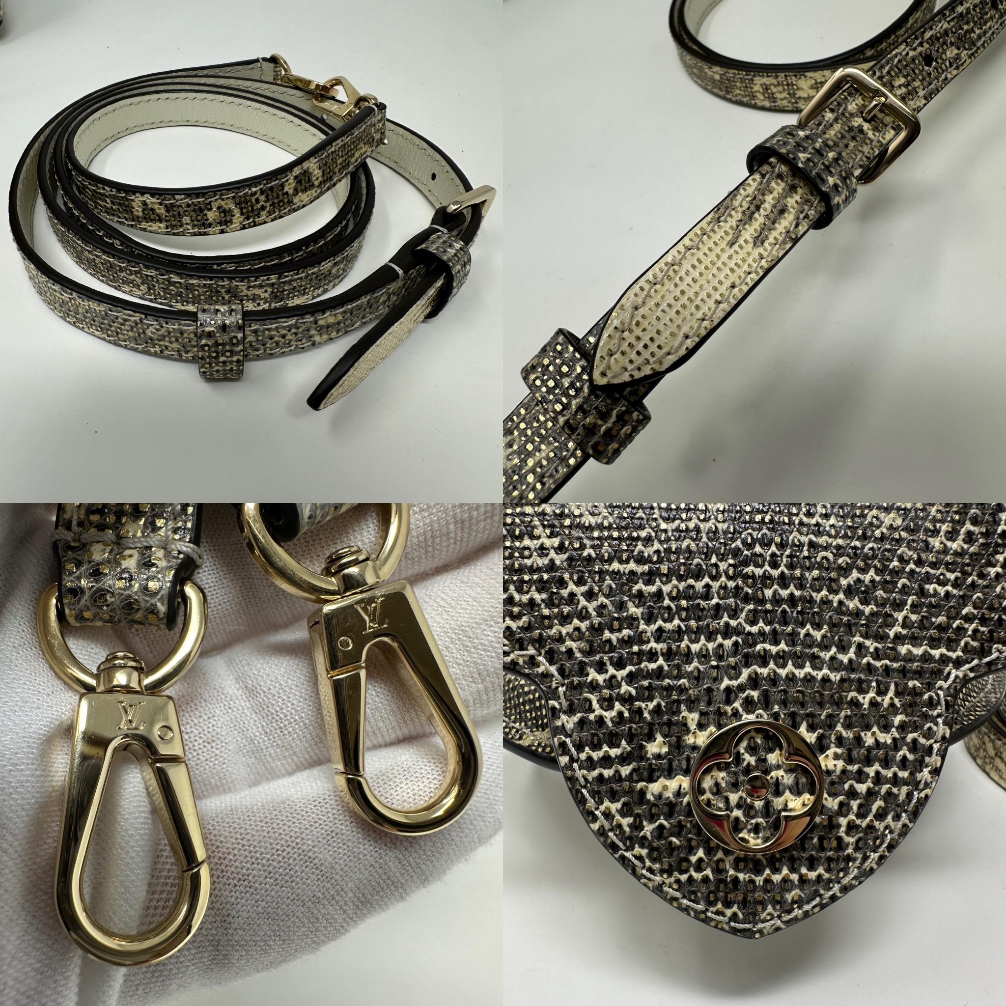 LOUIS VUITTON Ombre Eidechse Argento Mini Capucines Gold & Grau Tasche GHW im Angebot 9