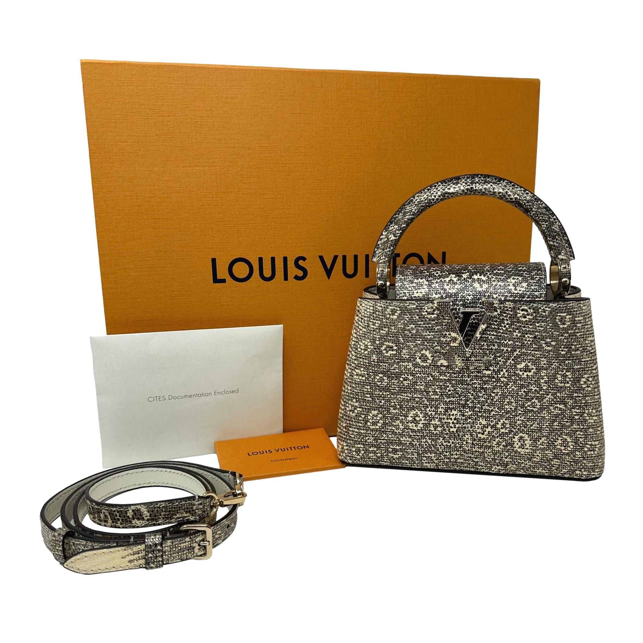 LOUIS VUITTON Ombre Eidechse Argento Mini Capucines Gold & Grau Tasche GHW im Zustand „Hervorragend“ im Angebot in Los Angeles, CA