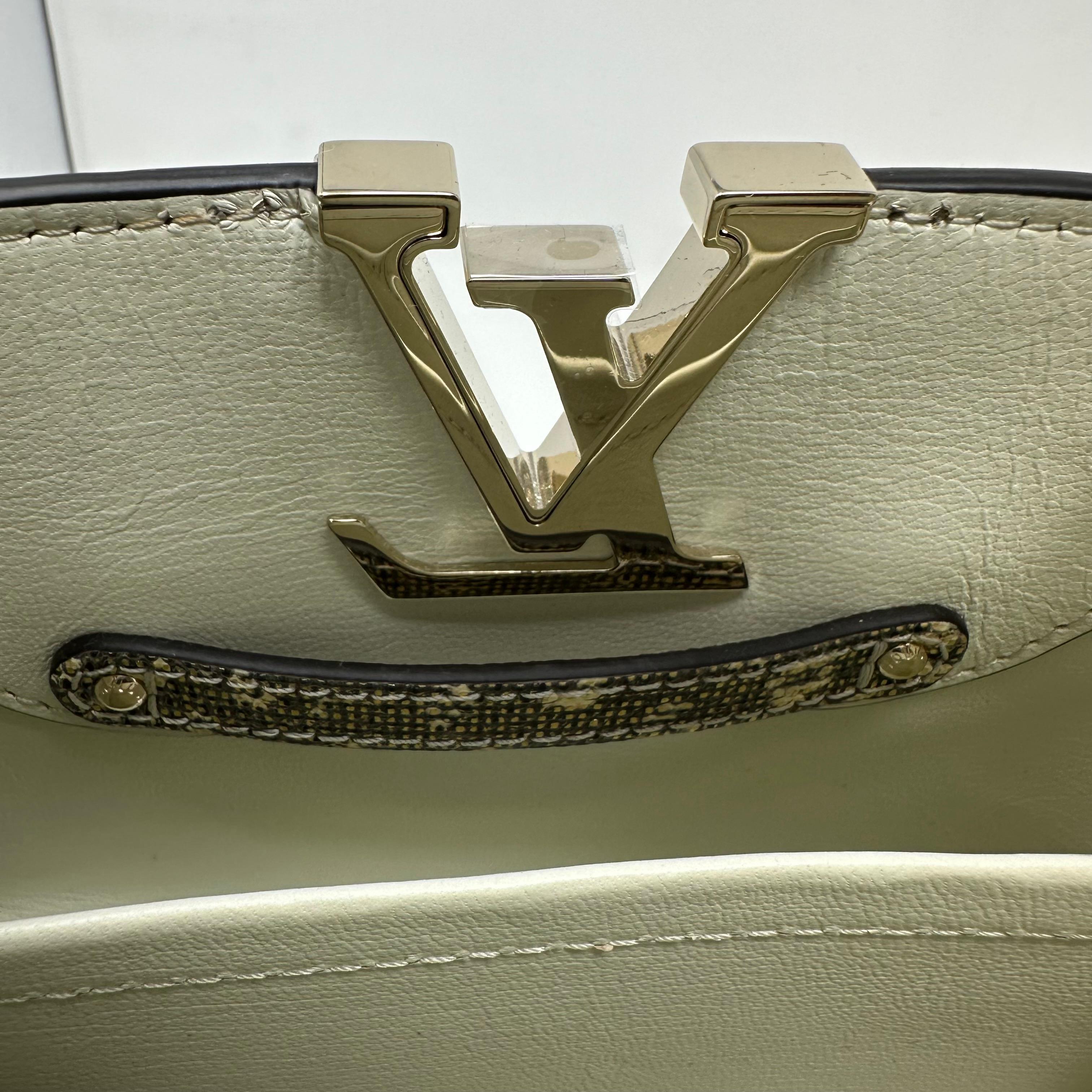 LOUIS VUITTON Ombre Eidechse Argento Mini Capucines Gold & Grau Tasche GHW im Angebot 4