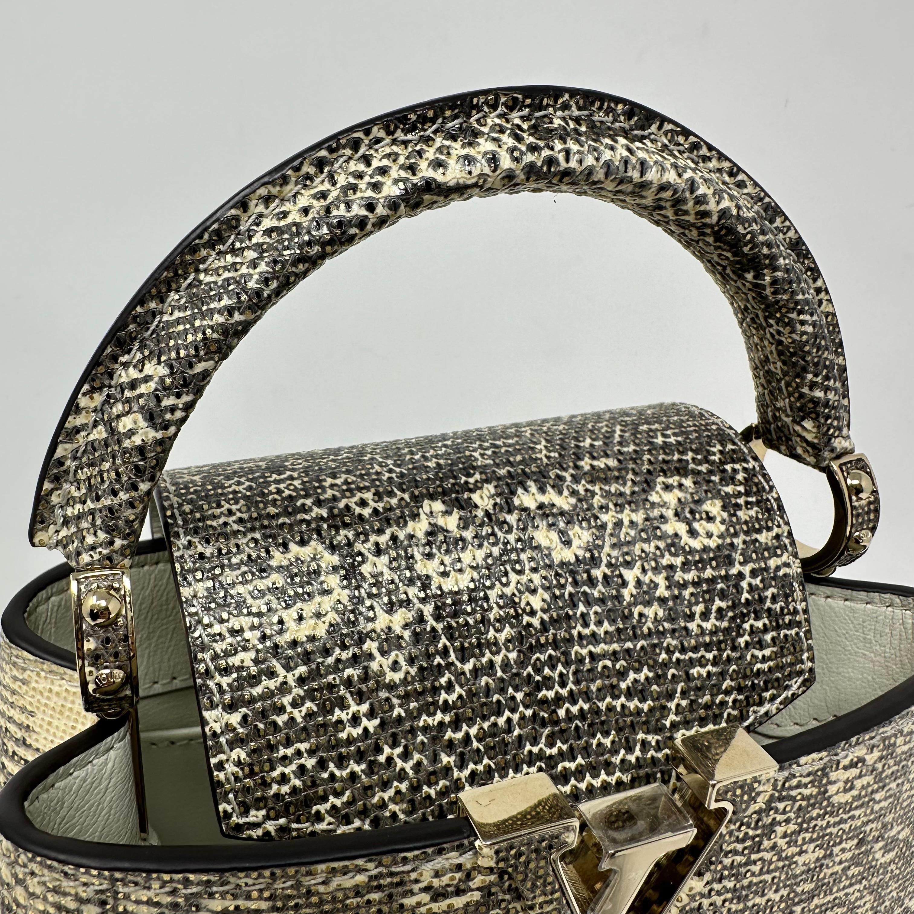 LOUIS VUITTON Ombre Eidechse Argento Mini Capucines Gold & Grau Tasche GHW im Angebot 5