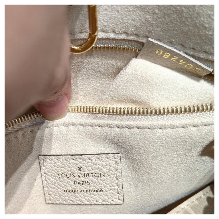 ❤️REVIEW - Louis Vuitton All-In PM tote 