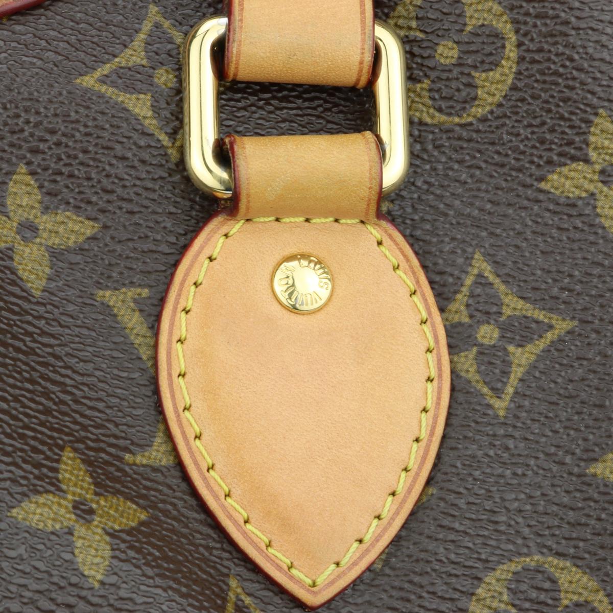 Louis Vuitton Palermo PM Bag in Monogram 2012 For Sale 9