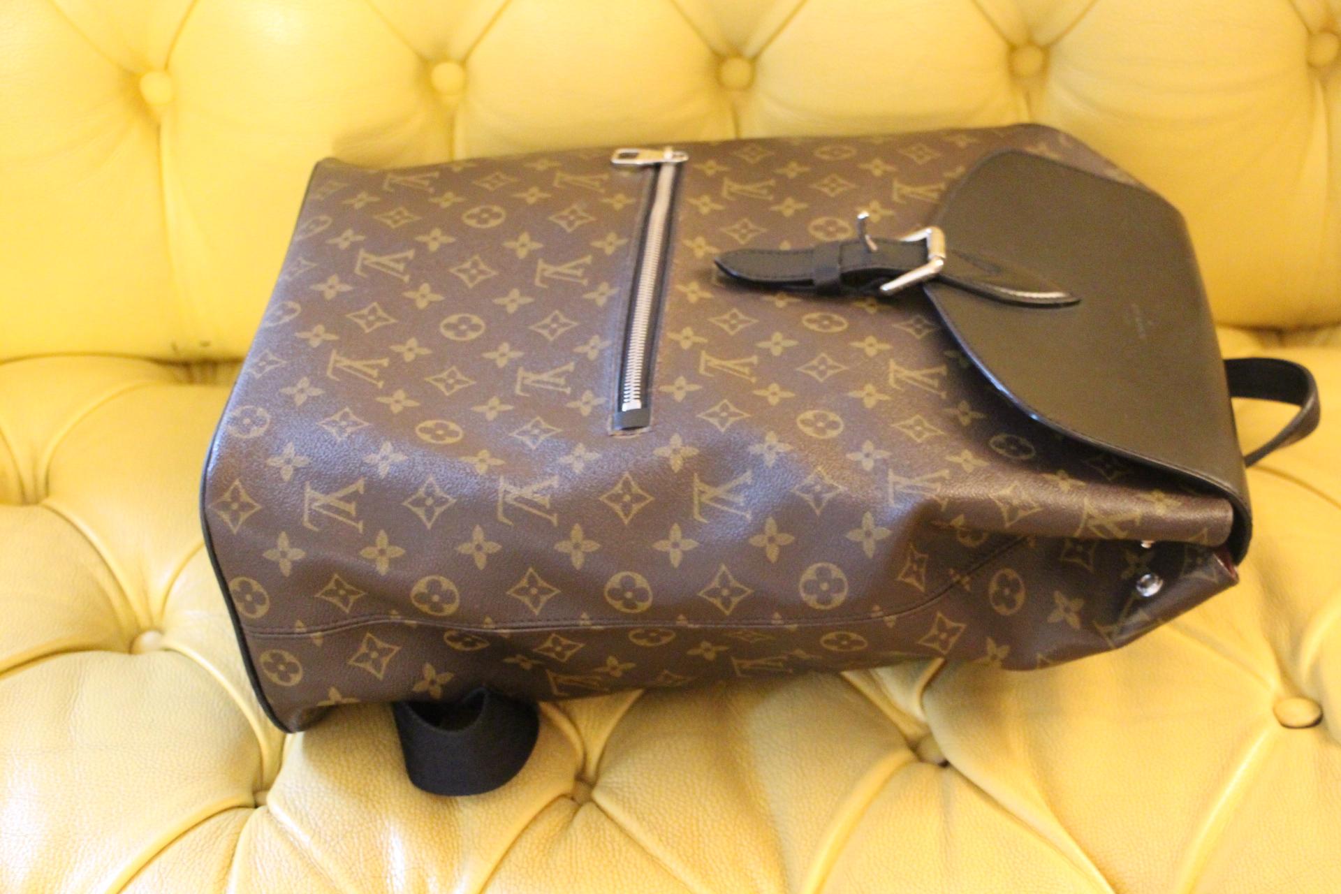 Louis Vuitton Palk Backpack Macassar Monogram Canvas 2