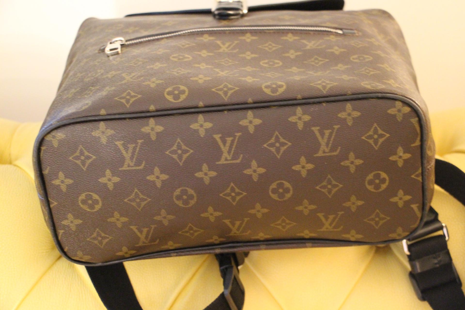 Louis Vuitton Palk Backpack Macassar Monogram Canvas 4