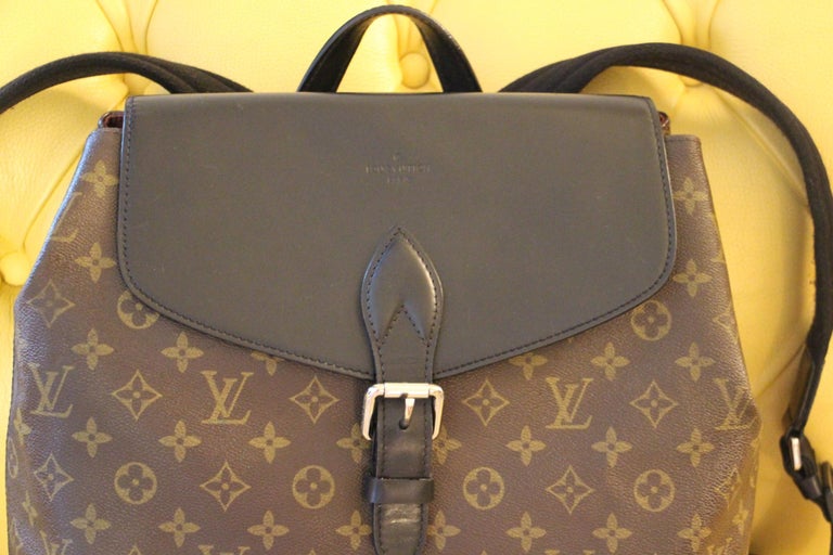 LOUIS VUITTON Palk Backpack Monogram / Macassar – The Luxury Lady