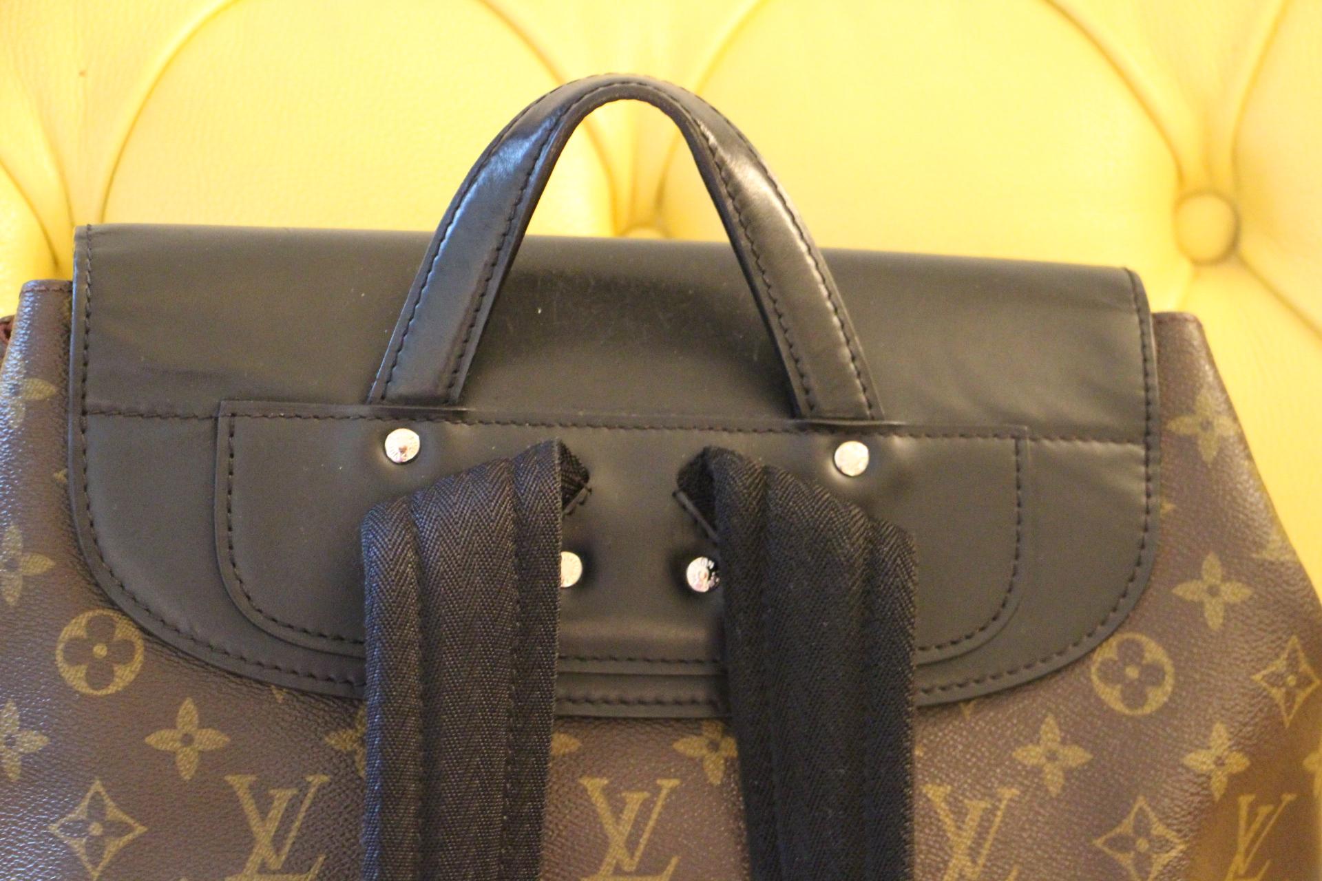 Women's or Men's Louis Vuitton Palk Backpack Macassar Monogram Canvas