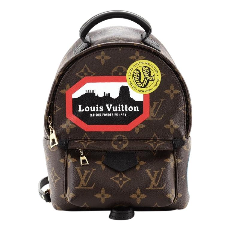 Louis Vuitton Monogram Canvas Mini Palm Springs Backpack Louis