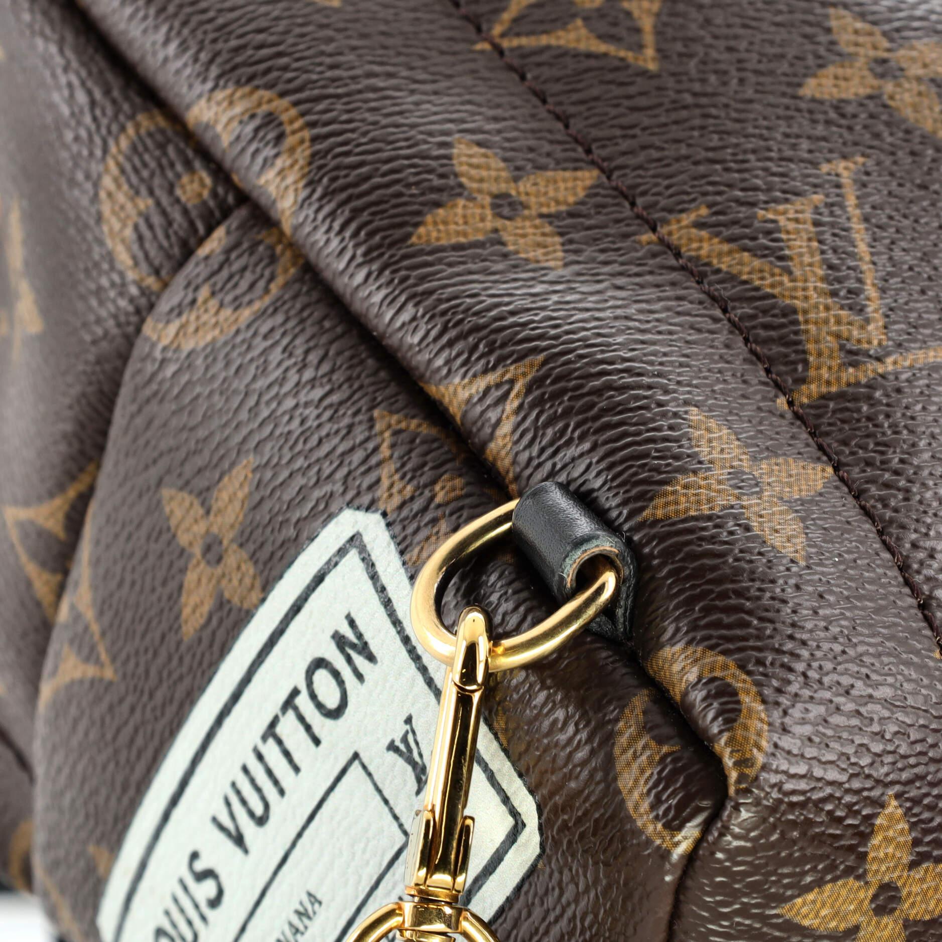 Louis Vuitton Palm Springs Backpack Limited Edition World Tour Monogram Canvas 4