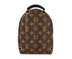 Louis Vuitton Palm Springs Backpack Mini Monogram