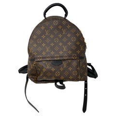 Louis Vuitton Palm Springs Backpack MM