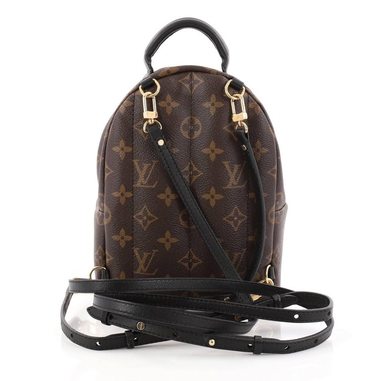 Louis Vuitton Palm Springs Monogram Canvas Mini Backpack at 1stdibs