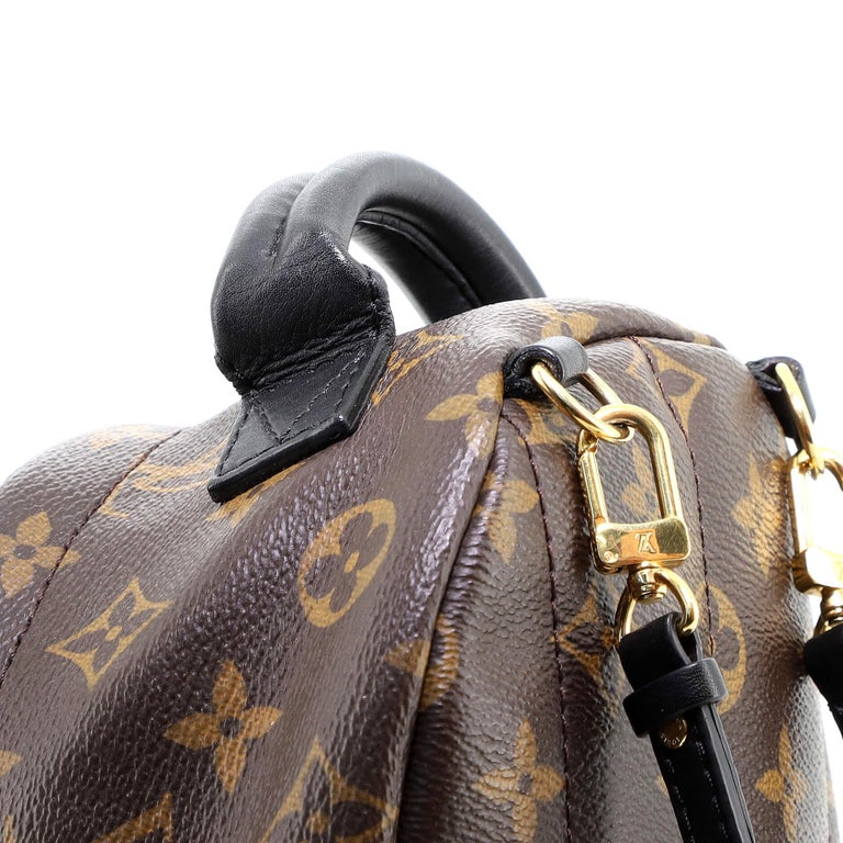 Louis Vuitton Palm Springs Backpack Monogram Canvas Mini For Sale at