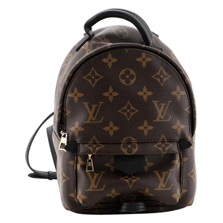 Louis Vuitton Monogram Canvas Mini Palm Springs Backpack