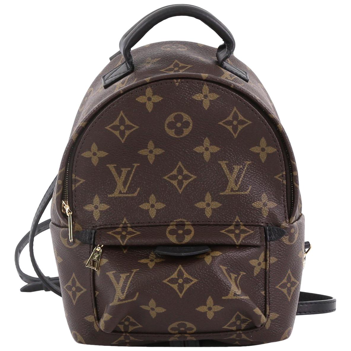Louis Vuitton Palm Springs Backpack Monogram Canvas Mini