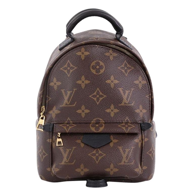 Louis Vuitton Palm Springs Backpack Monogram Canvas Mini at 1stdibs