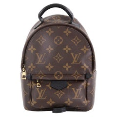 Louis Vuitton Palm Springs Backpack Monogram Canvas Mini