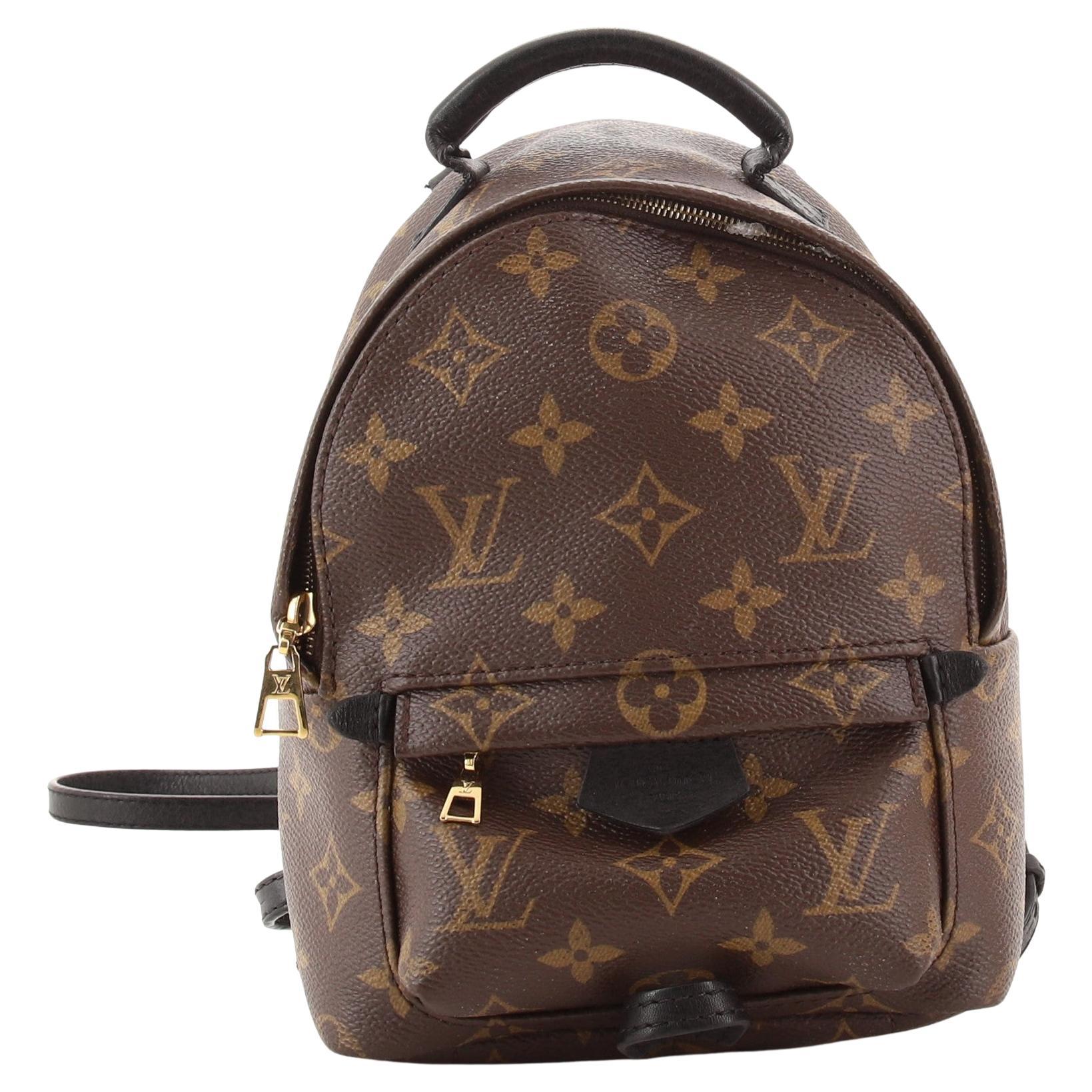 Louis Vuitton Palm Springs Backpack 