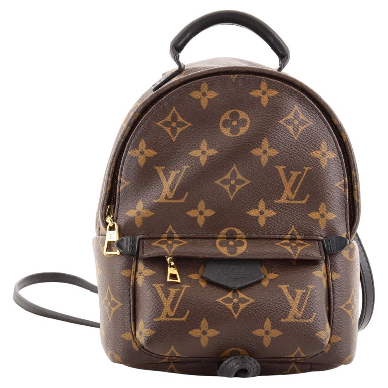 Louis Vuitton Palm Springs Backpack Monogram Canvas Mini at 1stDibs
