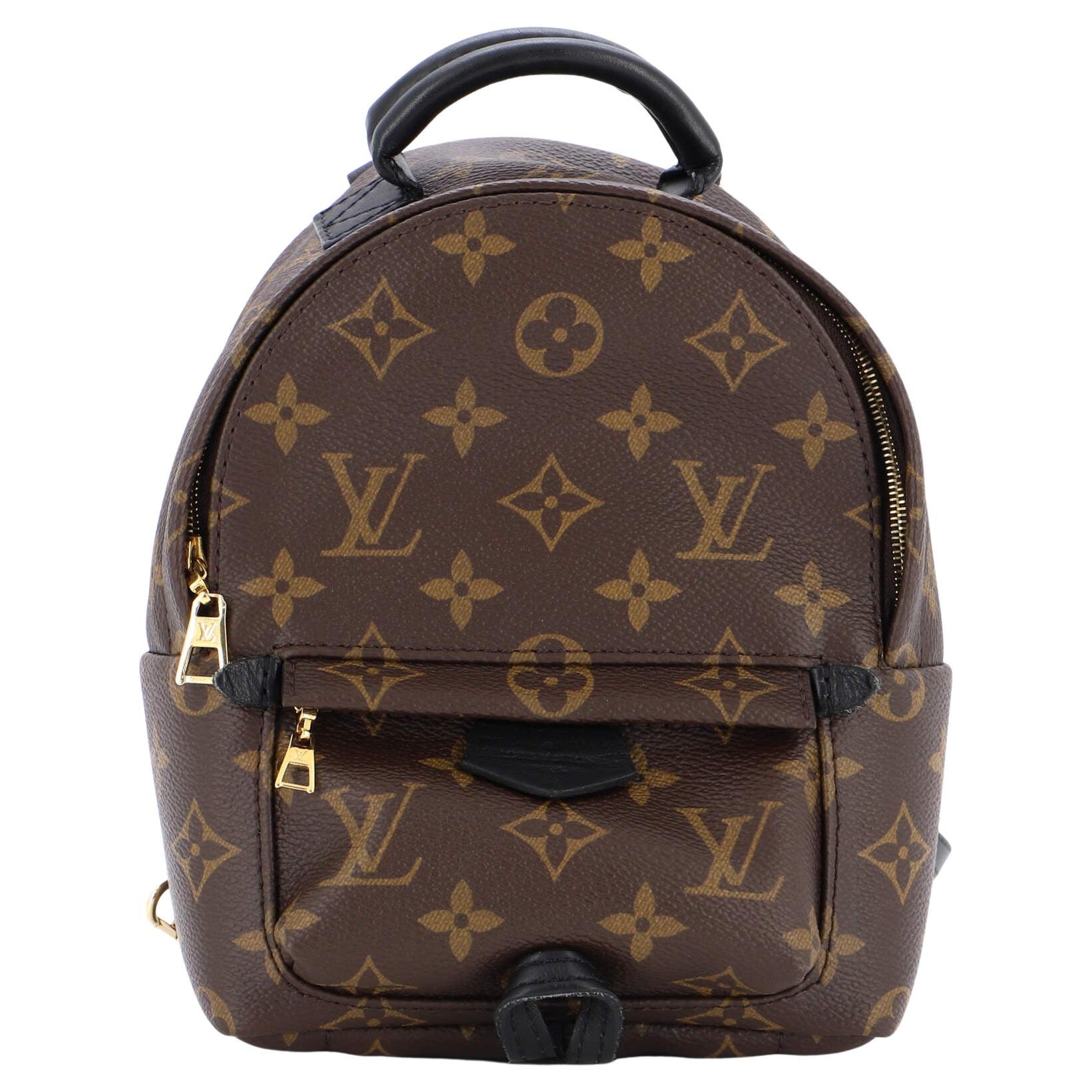 Louis Vuitton Palm Springs Backpack Limited Edition Monogram Canvas Mini at  1stDibs