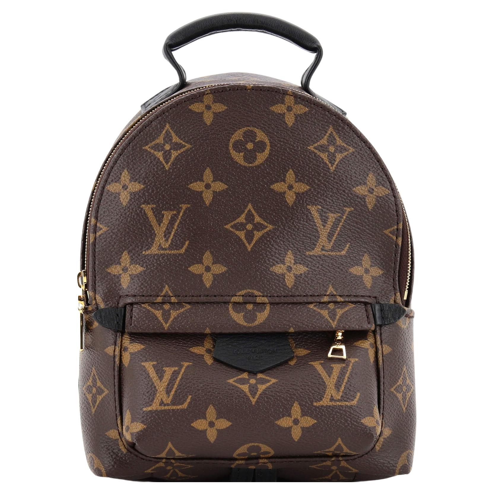 NEW LOL Limited Edition Louis Vuitton Palm Springs Mini backpack in brown  canvas For Sale at 1stDibs