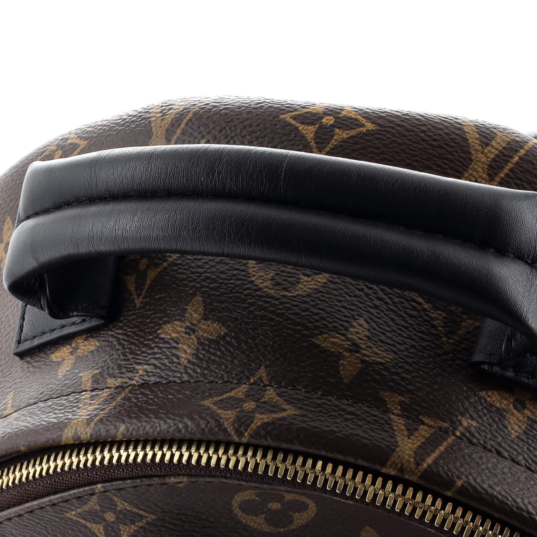 Louis Vuitton Palm Springs Backpack Monogram Canvas MM 1