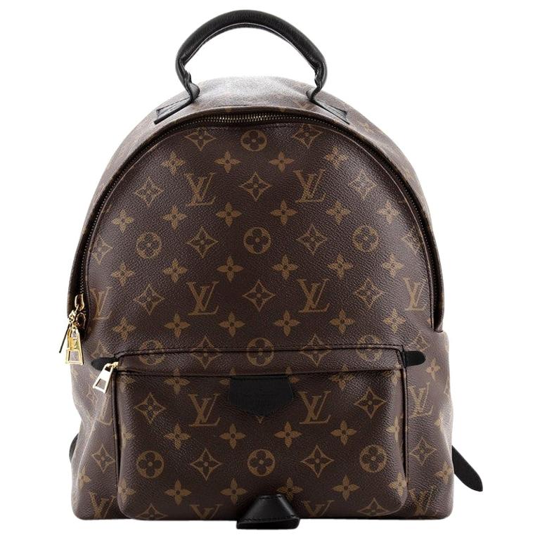 Louis Vuitton Palm Springs Backpack Monogram Canvas MM at 1stDibs