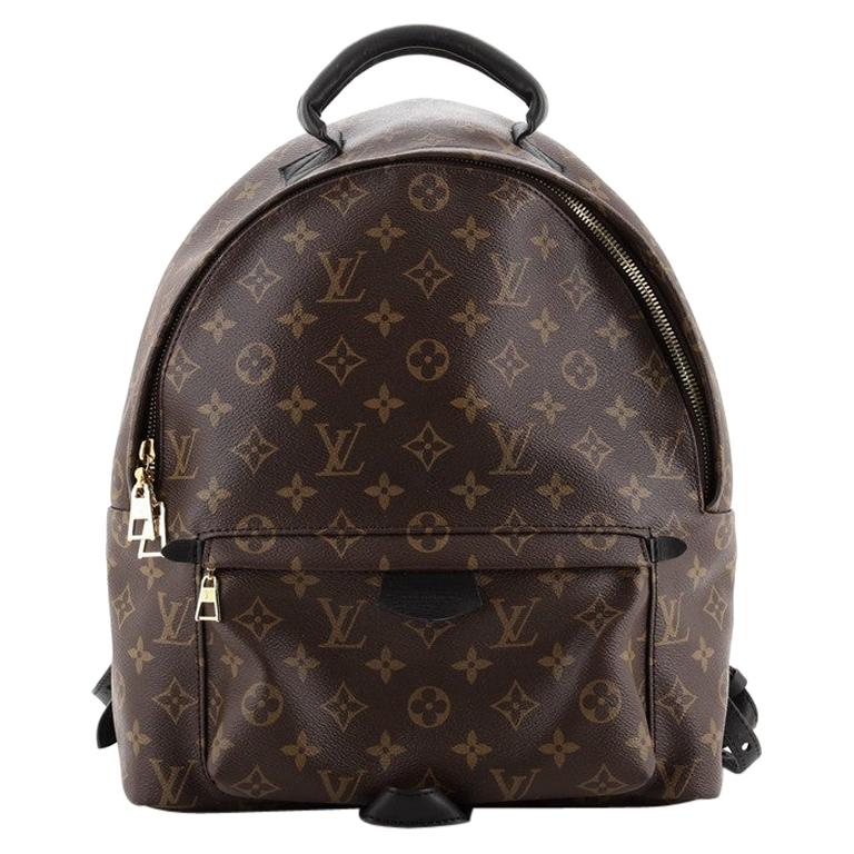Louis Vuitton Palm Springs Backpack Monogram Canvas MM