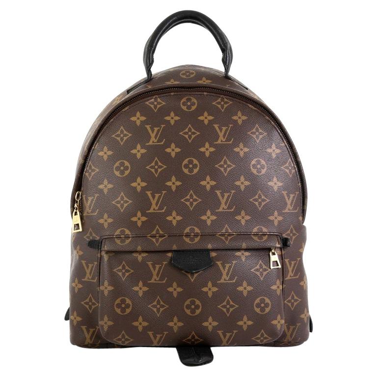 Louis Vuitton Palm Springs Backpack Monogram Canvas MM at 1stDibs