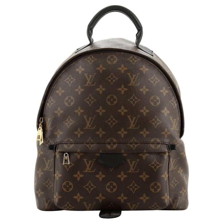 Louis Vuitton Palm Springs Backpack Monogram Canvas MM For Sale at 1stdibs