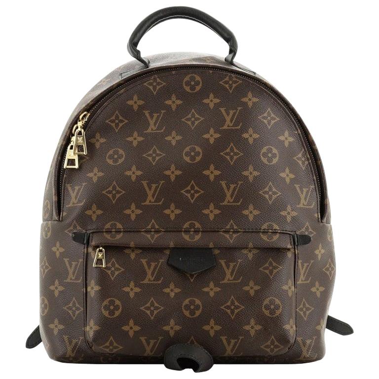 Louis Vuitton Palm Springs Backpack Monogram Canvas MM For Sale at 1stdibs