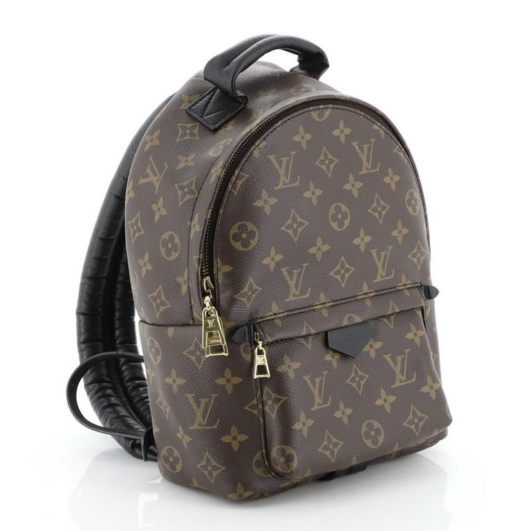 Louis Vuitton Palm Springs Backpack Monogram Canvas PM For Sale at 1stdibs