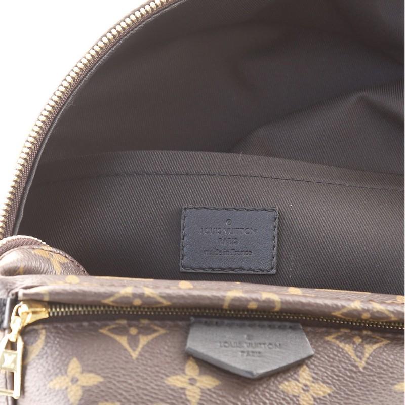 Louis Vuitton Palm Springs Backpack Monogram Canvas PM 4