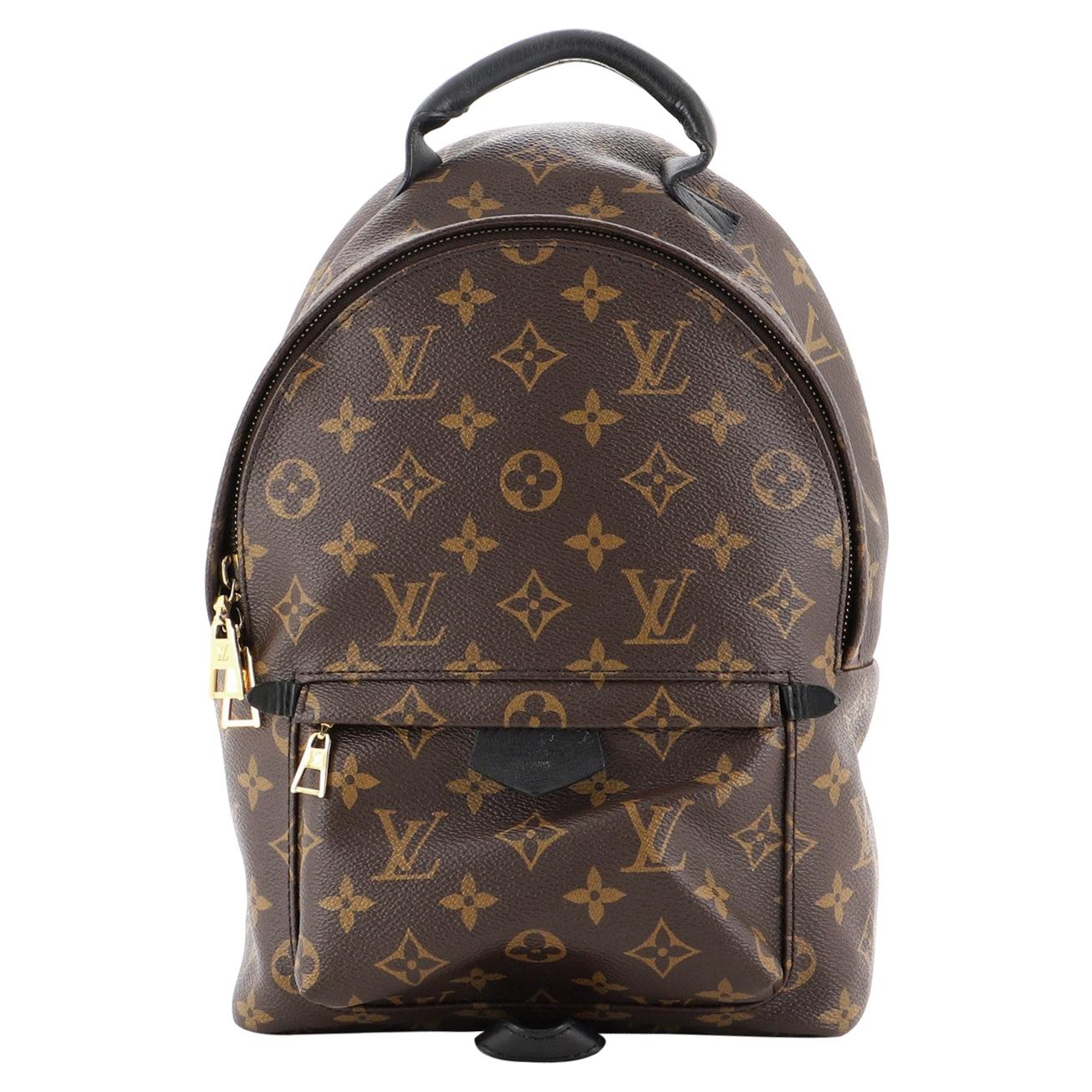 Louis Vuitton Palm Springs Backpack Monogram Canvas PM