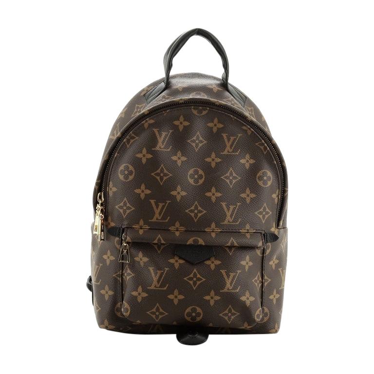 Louis Vuitton Palm Springs Backpack Monogram Canvas PM For Sale at 1stdibs