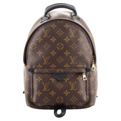 Louis Vuitton Monogram Palm Springs Backpack Pm - 5 For Sale on 1stDibs