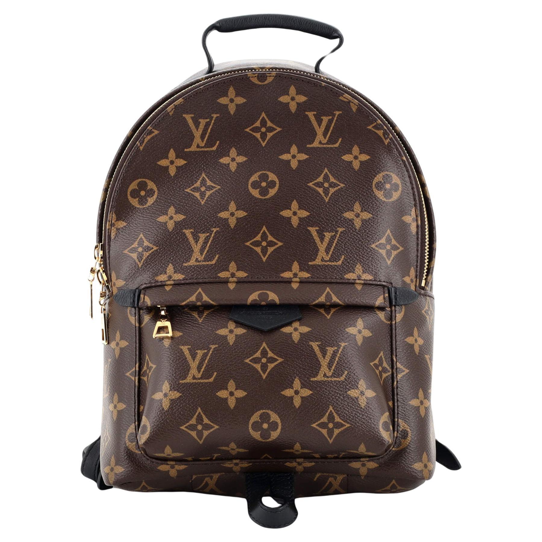 Louis Vuitton Monogram Canvas Mini Palm Springs Backpack at 1stDibs